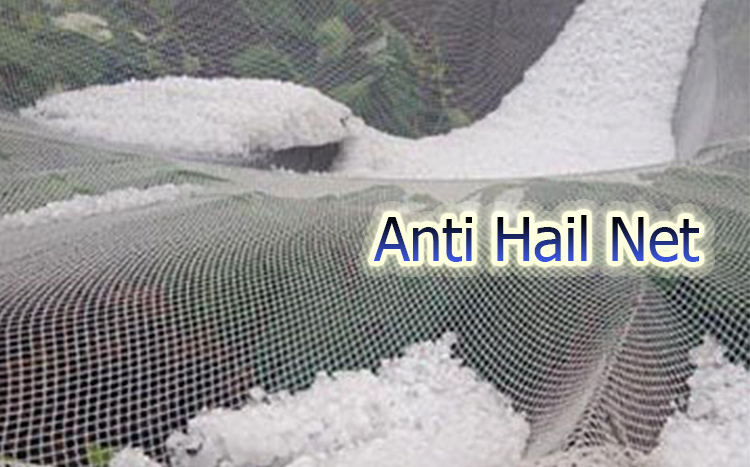 Funktionen av Anti Hail Net