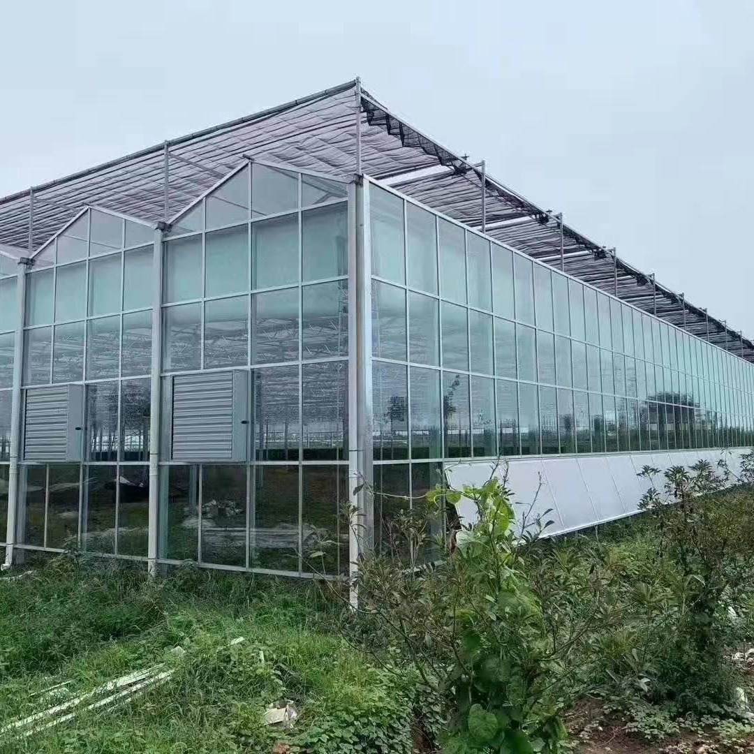 Funktionen och tillämpningen av Greenhouse Sunshade Net