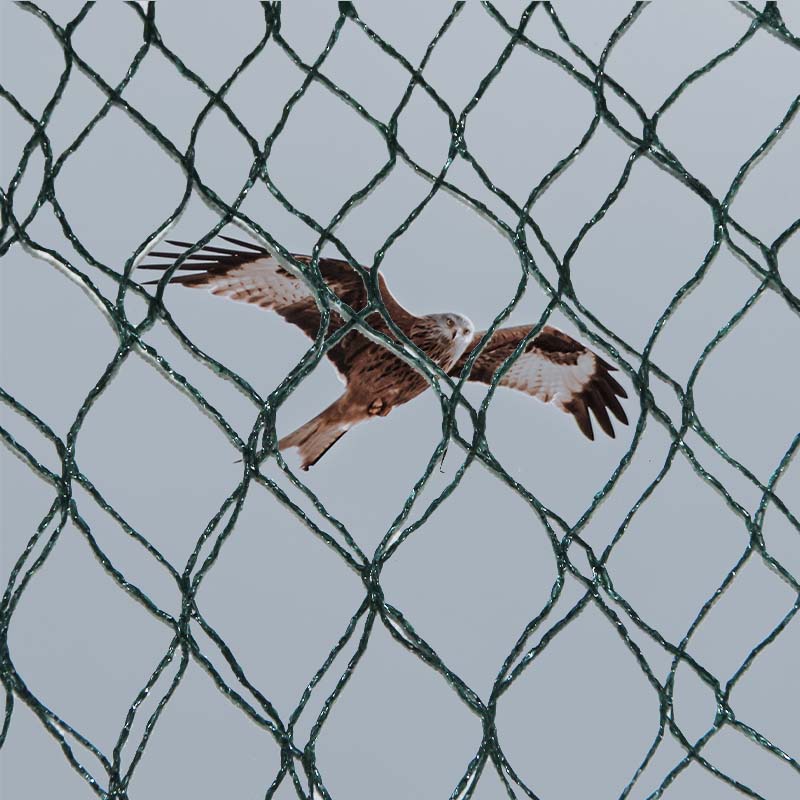 Vilka är materialvalen och för- och nackdelar med fågelskyddsnät?