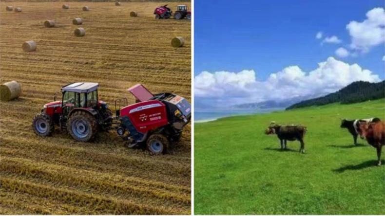 Användning av balnätslindning i jordbruksverksamhet