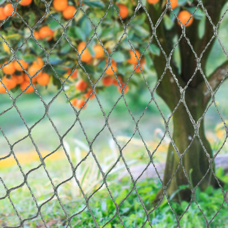 Skydda dina grödor, egendom och investeringar med vårt kraftiga fågelnät!