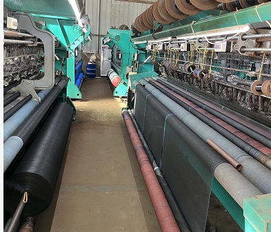 Yantai Double visar upp professionell produktion av Anti Bird Net och Shade Net