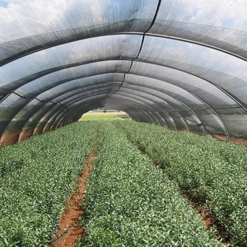 Trädgårdsskuggduk för växter 40% solsken blockerad